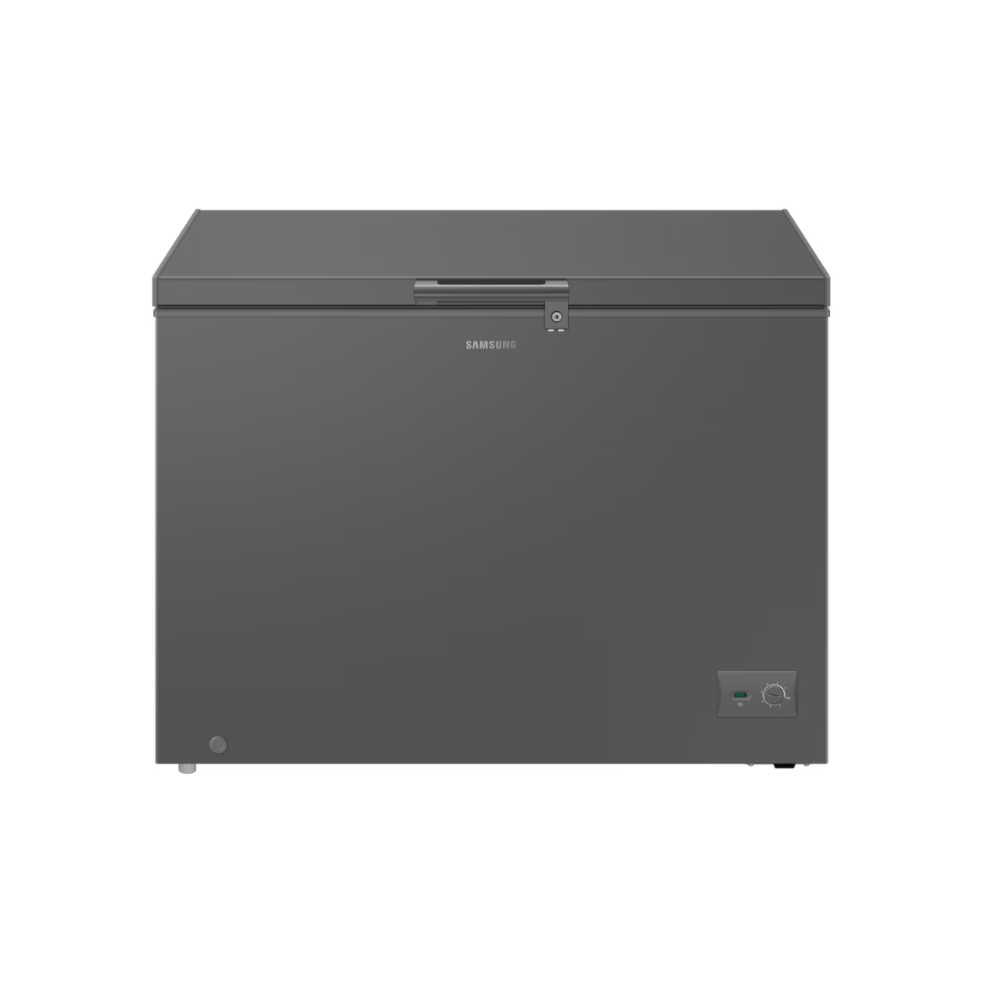 Samsung-287-Liters-Chest-freezer-RI70F29V1GAGH.png
